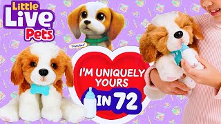 Little Live Pets My Really Real Puppy  Patches The Beagle  Play amp Care for Just Like a Real Dog [upl. by Hcire]