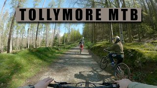 Tollymore natural MTB trails on the Marin Alpine Trail E2 [upl. by Tutankhamen]