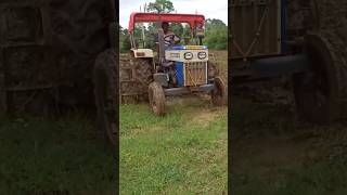 Swaraj 843 XM  puddling with half cage wheel  in rice field shorts [upl. by Mendelsohn]