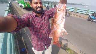 ഇവൻ എത്രKg വരും മഴ പെയ്താൽ മീൻ ഗ്യാരണ്ടി Simple hook fishing [upl. by Scarface]