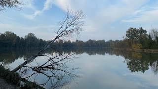 Parco dei Laghetti  Martellago VE  Veneto [upl. by Noiraa]