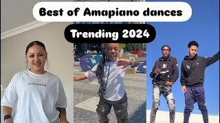 Best of TikTok Amapiano dances 2024 [upl. by Netsruk]