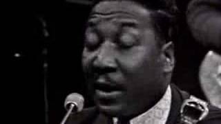 Muddy Waters  You Cant Loose What Your Never Had [upl. by Newcomb]