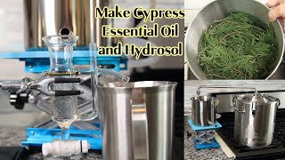 How to Make Cypress Essential Oil and Hydrosol by Hydro Distillation How to Do Hydro Distillation [upl. by Suciram]