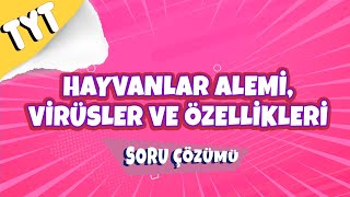 Hayvanlar Alemi Virüsler ve Özellikleri Soru Çözümü  2022 [upl. by Little]