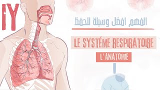 le système respiratoirelanatomie généraleلن تحتاج الى حفضه بعد هذا [upl. by Goeger259]