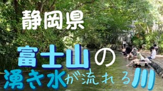 三島市 富士山の湧き水が流れる源兵衛川 [upl. by Weisman]