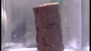 A Sample Of Cork In A Vacuum [upl. by Elizabet]