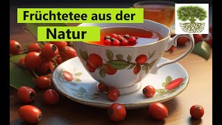 Früchtetee selber machen  Hagebutten Holunder Apfel  Naturrezepte [upl. by Innavoj]