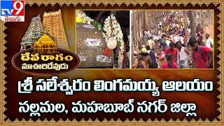 Devaragam మా ఊరి దేవుడు  Sri Saleshwaram Lingamayya Swamy Temple  Mahabubnagar District  TV9 [upl. by Aeslahc]