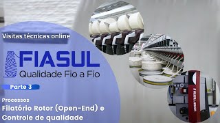 Visita técnica online  FIASUL  PARTE 3 FINAL [upl. by Namrej]