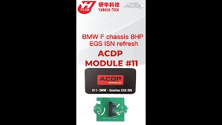 How To Refresh Clear BMW F chassis 8HP EGS ISN w Mini ACDP module 11  No Solder EEPROM Programming [upl. by Aiksas]