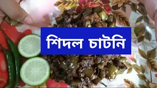 How to make Shidol Chutney শিদল চাটনি By Bubli and Ruma Bengali recipes [upl. by Inavoj]