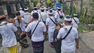 Karnevál  Karnevál Bali Denpasar 💃 [upl. by Rawdan]