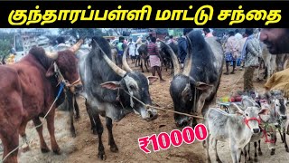 kundarapalli mattu santhai  Today 2023 குந்தாரப்பள்ளி மாட்டு சந்தை  sakthi Tech [upl. by Ynnaej]