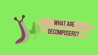 What are decomposers [upl. by Ramonda]