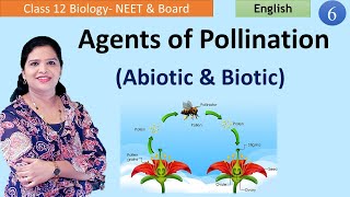 Agents of Cross Pollination NCERT Class 12 [upl. by Parent]