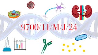 970011MJ24  9700s24qp11 MayJune2024 AS level Biology MCQ Past Paper solving [upl. by Knoll303]