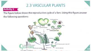 Biology F2  Ch2 Vascular Plants Lesson 2 [upl. by Myron]