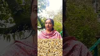 Food Source of Vitamin E himayurveda ayurveda vitamine vitamineuses [upl. by Levison]