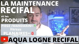 Aquarium Récifal  MAINTENANCE Et Produits utilisés [upl. by Eidas151]