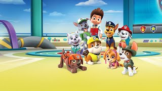 Paw Patrol  Festival [upl. by Jolynn585]