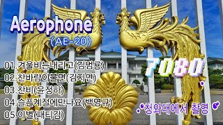 촬영연주 이양식 Aerophone AE20 청와대 칠궁 풍경사진 모음 7080 중년가요 5곡 [upl. by Horgan]