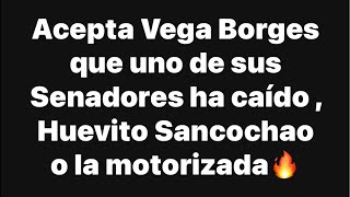 Acepta Vega Borges que uno de sus Senadores ha caído y niegan contar votos [upl. by Demb]