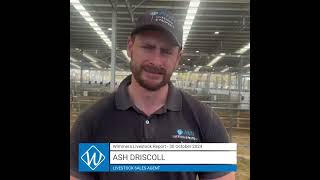 30 October AWN Livestock amp Property Wimmera Market Report with Ash Driscoll – Livestock Sales Agent [upl. by Llain]