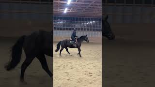 🐴 Horse Riding Lesson shorts horseriding equestrian [upl. by Enala203]