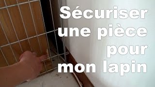 Sécuriser une pièce pour son lapin [upl. by Zednanref6]