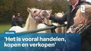 Traditie in Lottum paardenmarkt op elfde van de elfde  L1 Nieuws [upl. by Giordano]