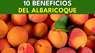 10 Beneficios Saludables del Albaricoque  BENEFICIOS SALUDABLES [upl. by Aihsilef]