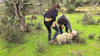 La que tenemos aquí liada madrita mía [upl. by Ttirb463]