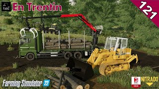 FARMING SIMULATOR 22 ⛰️ En Trentin 🌲 Ordine e pulizia ep121 [upl. by Killian]