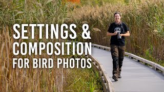 Bird Photography Better Compositions Sharper Images amp More with Emilie Talpin [upl. by Clementius]