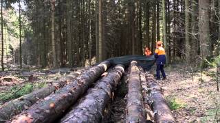 Storanet protect stored timber from bark beetles [upl. by Nairred]