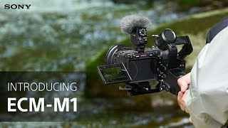 Introducing the Sony ECMM1 Shotgun Microphone [upl. by Wallraff390]