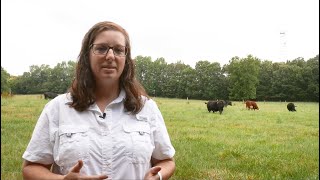 How to Control Pasture Weeds [upl. by Deron]