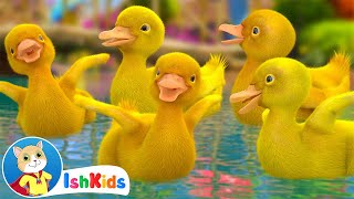 Five Little Ducks  Nursery Rhymes amp Kids Songs  IshKids [upl. by Novick]