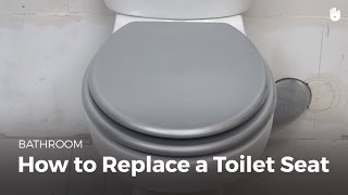 How to Replace a Toilet Seat  DIY Projects [upl. by Aztiram]