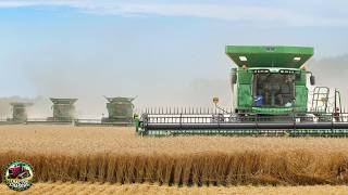 Massive Wheat Harvest 7 Combines at Work [upl. by Samford778]