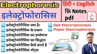 Electrophoresis in hindi  Gel Electrophoresis  Pepar Electrophoresis  Agarose Gel Electrophoresis [upl. by Werdma]