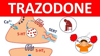 Trazodone tablets and Important Side effects [upl. by Llenrap]