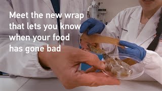 Innovative smart food wrap changes colour to indicate when food is spoilt [upl. by Mcadams]