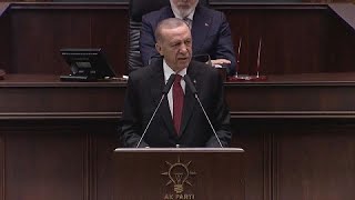 SveziaNato riparte da Ankara Erdoğan firma il protocollo di adesione [upl. by Kristopher984]