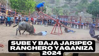 JUEGO JAMAS VISTO SUBE Y BAJA EN JARIPEO RANCHERO DESDE EN LAS ALBERCAS DE YAGANIZA 2024 [upl. by Tranquada]