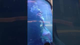 Mermaid Performer’s Close Call Tail Stuck Underwater in Shopping Centre MomentsBeforeDisaster [upl. by Cowey649]