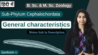 SubPhylum Cephalochordata  general characteristics  In Hindi  B Sc amp M Sc  Zoology [upl. by Otrebide]