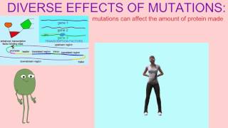 SPECIATION 3 MUTATION amp CHANGES IN THE AMOUNT OF PROTEIN PRODUCED [upl. by Diskin]